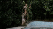 Wild Garden